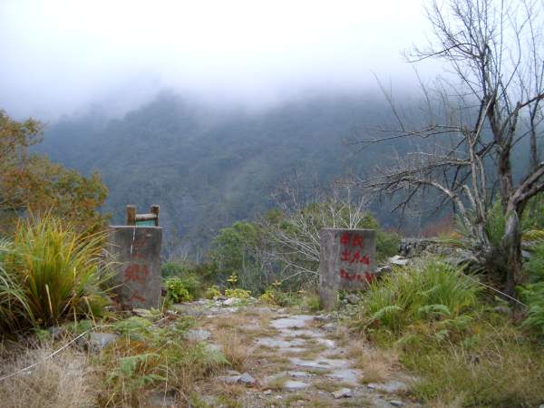 迷雾山林 摄影：老山羊