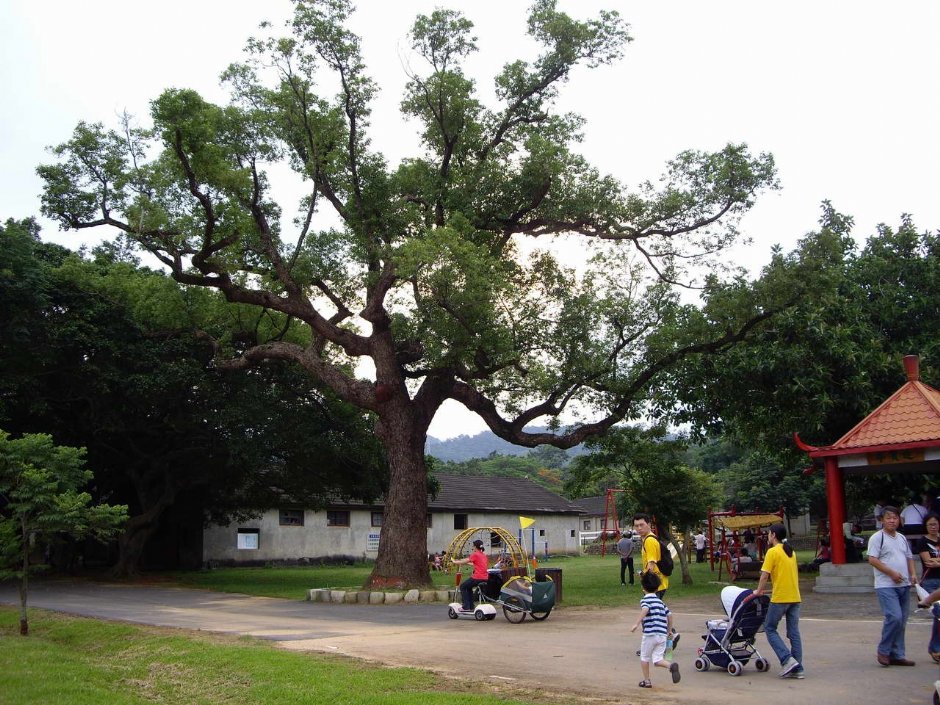 Photo:老山羊部落格