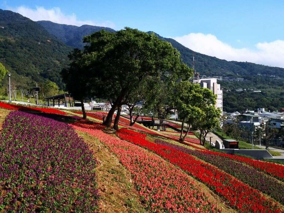 北投社三层崎公园花海美景 摄影：圖片來源 / 北市觀傳局（資料照片）