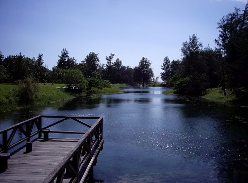 台東森林公園(黑森林)-琵琶湖