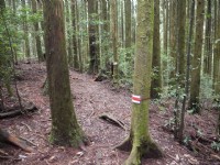 野马瞰山步道<br/> 摄影：Lu