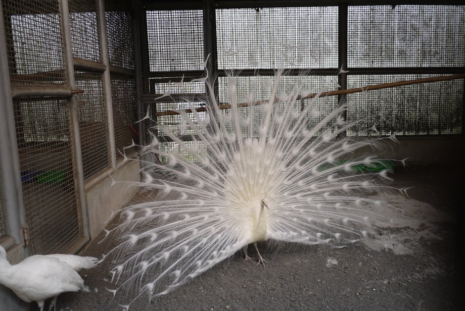 Photo:三井