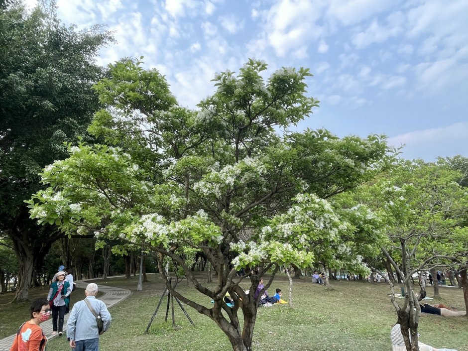 Photo:Eva隨手拍
