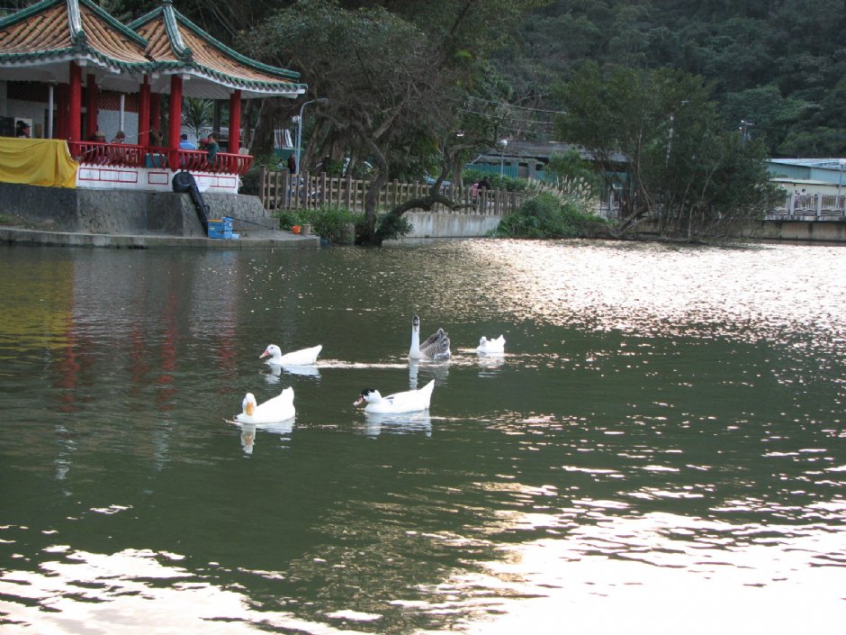 Photo:林仲哲