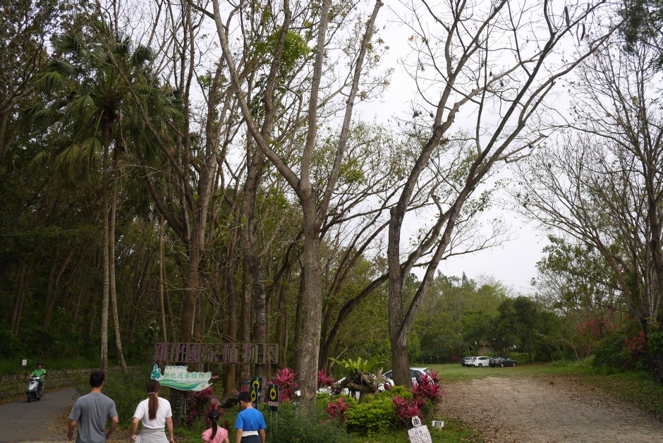 新化植物園 攝影：旅遊王攝影組