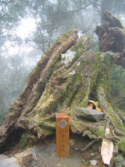 Photo:自助旅行家族