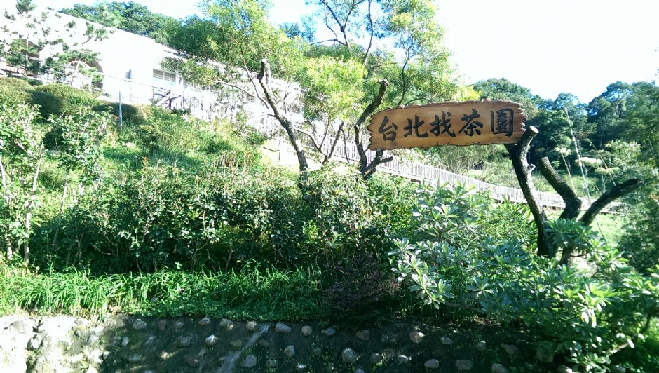 台北找茶园 摄影：Eva隨手拍