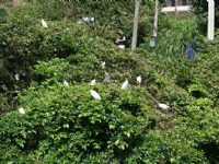 野生动物栖息处<br/> 摄影：Eva隨手拍