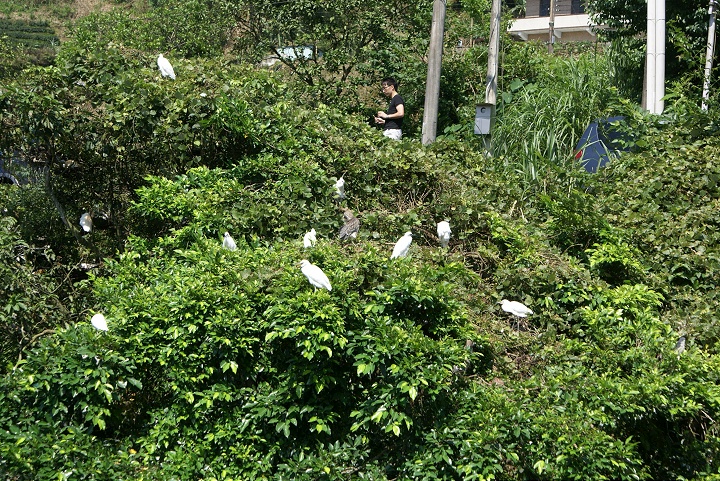 野生动物栖息处 摄影：Eva隨手拍