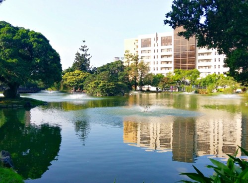 中兴大学
