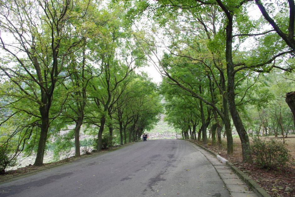 Photo:Eva隨手拍