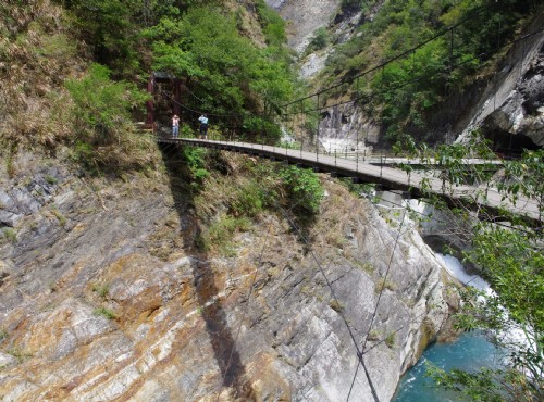 白楊步道-白楊步道吊橋