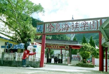 金鸟海族乐园 摄影：呂玫瑢