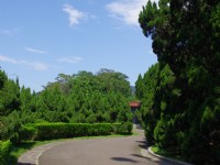 Photo:Eva隨手拍