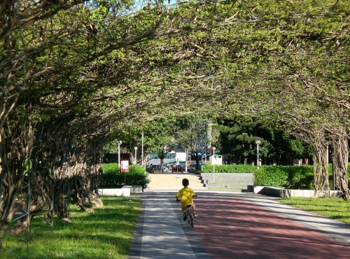 榮星花園公園-榮星公園