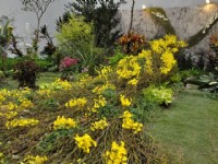 花博争艳馆-竞花艺术(特展与花卉竞赛)<br/> 摄影：amo