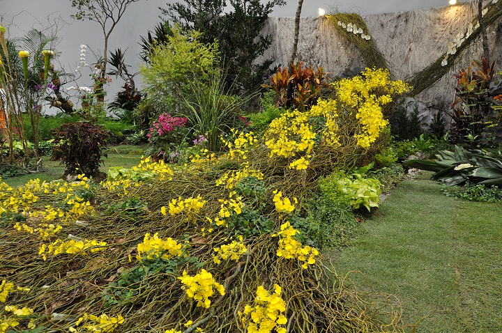 花博争艳馆-竞花艺术(特展与花卉竞赛) 摄影：amo