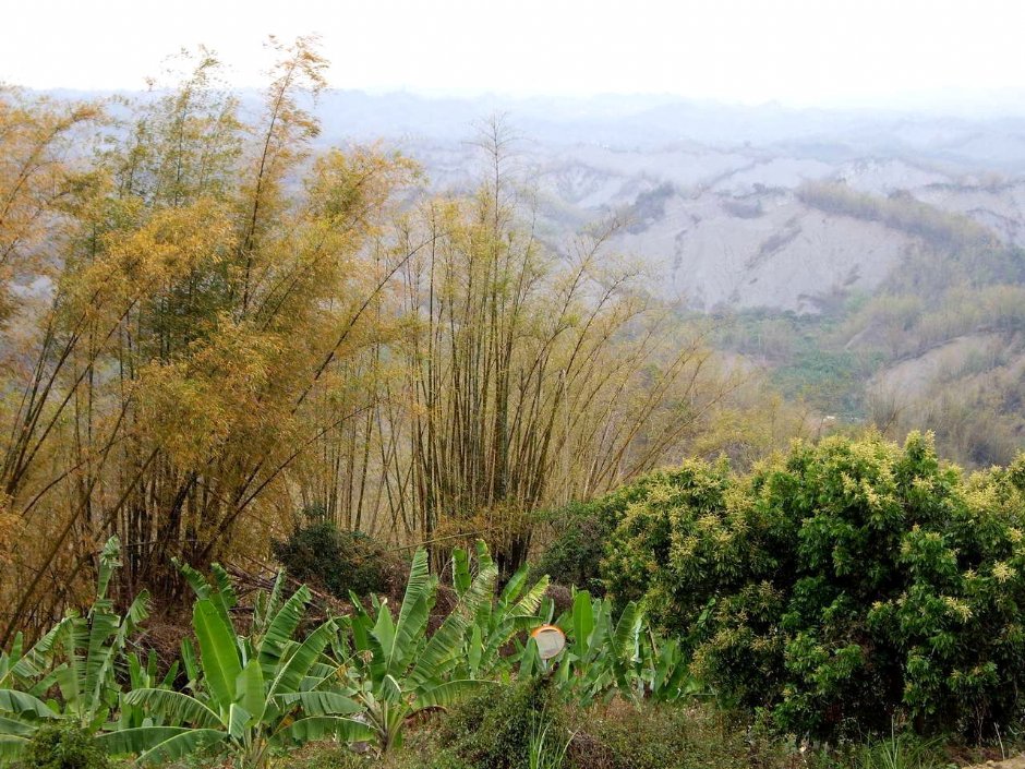 308高地奇景 摄影：老山羊資訊網
