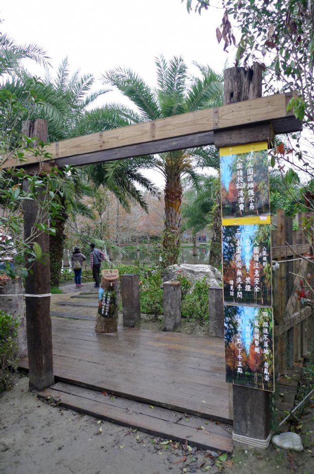 钰展苗圃 摄影：Eva隨手拍