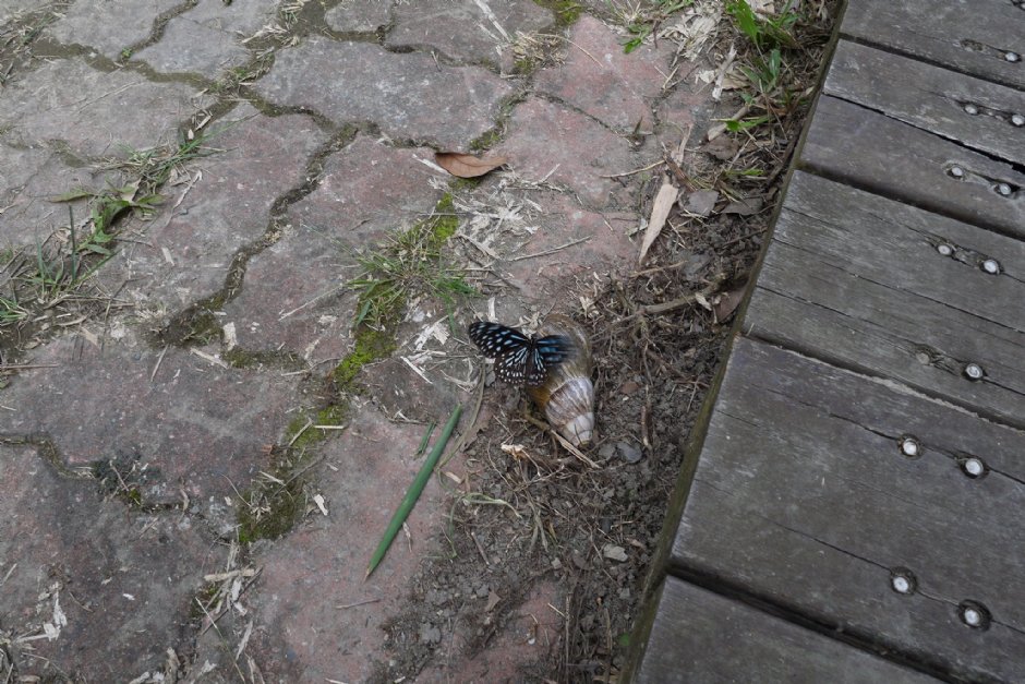 Photo:三個井