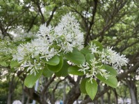 Photo:Eva隨手拍