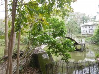 新化植物園浺瀜池<br/> 攝影：旅遊王攝影組