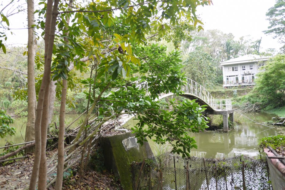 新化植物園浺瀜池 攝影：旅遊王攝影組
