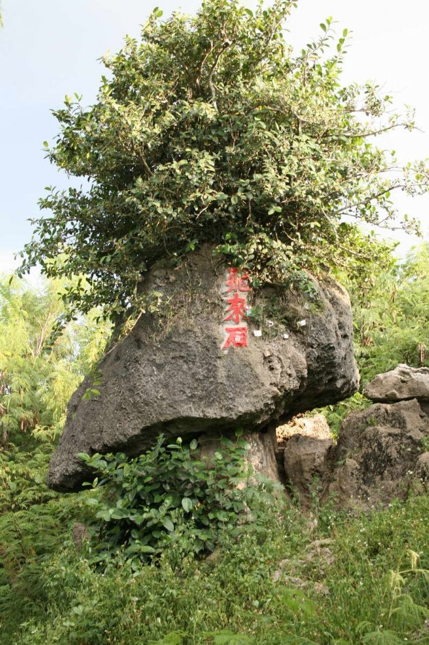 Photo:老山羊部落格