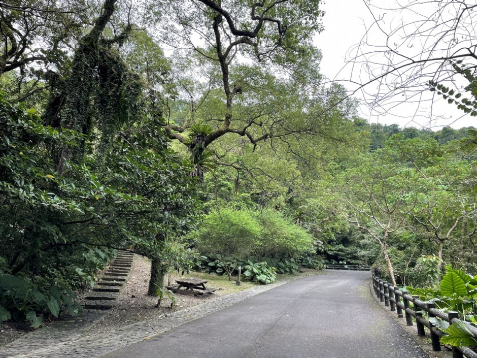 仁山植物园步道 摄影：Eva隨手拍