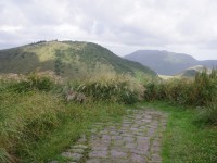 七星山东峰步道<br/> 摄影：Eva隨手拍