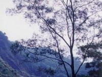 山峦有情<br/> 摄影：郭香妙