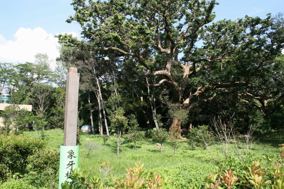 Photo:老山羊部落格