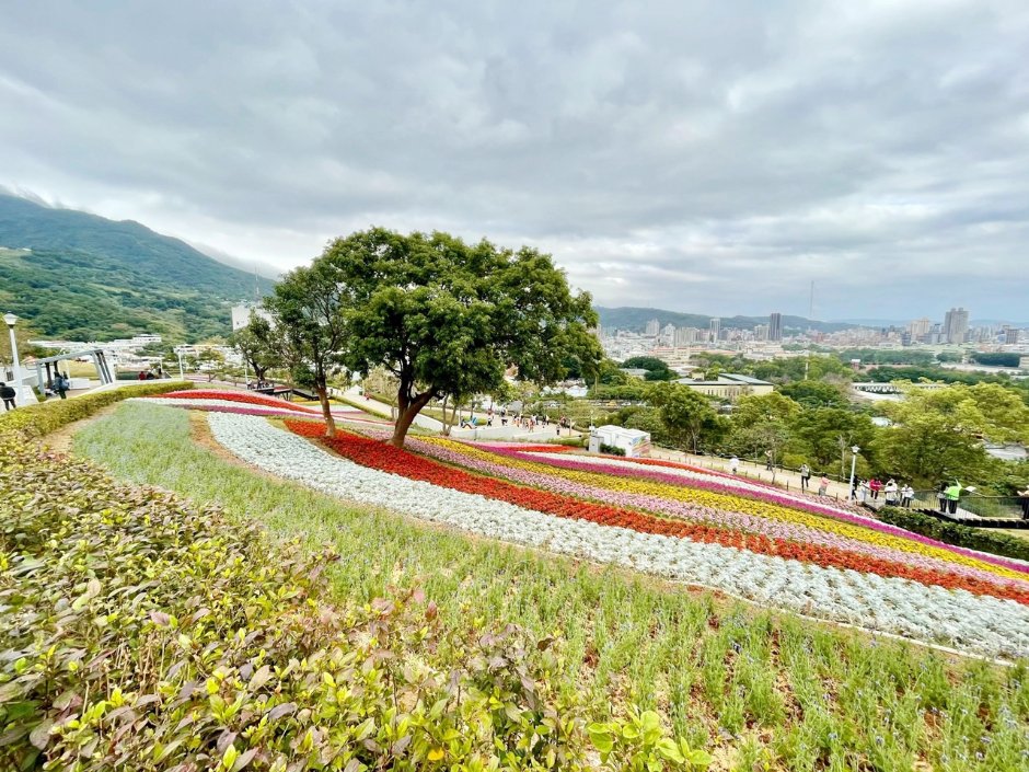 北投社三层崎公园大片花海被誉为台版富良野 摄影：Eva隨手拍