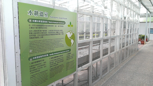 水凝胶水耕温室 摄影：虹泰水凝膠世界