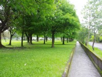 安农溪自行车道<br/> 摄影：Eva隨手拍