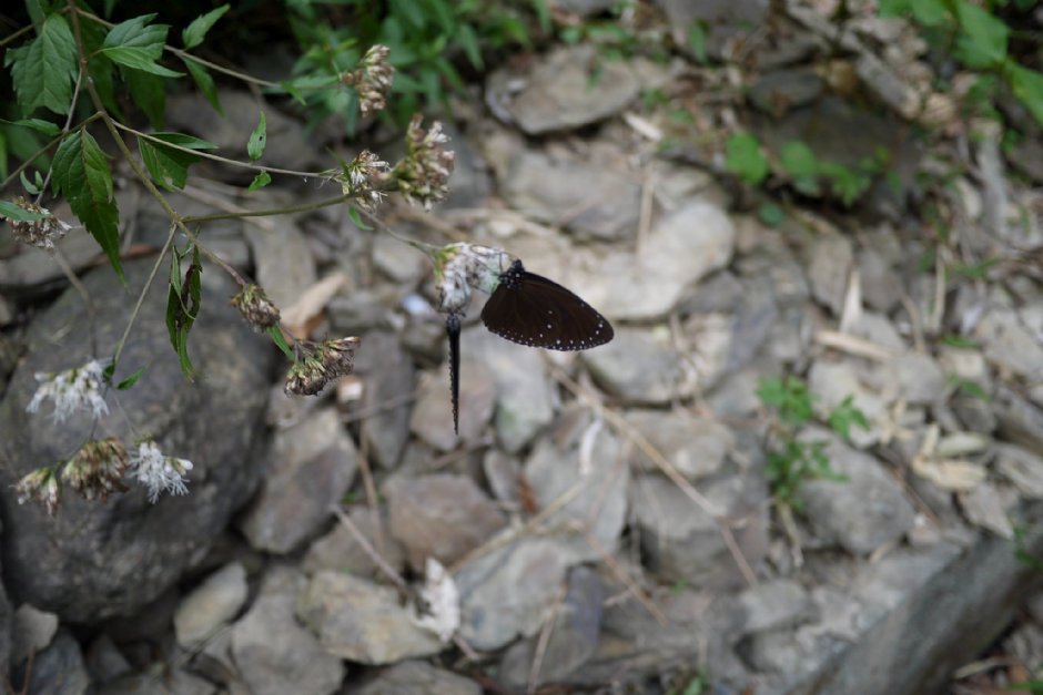 Photo:三個井