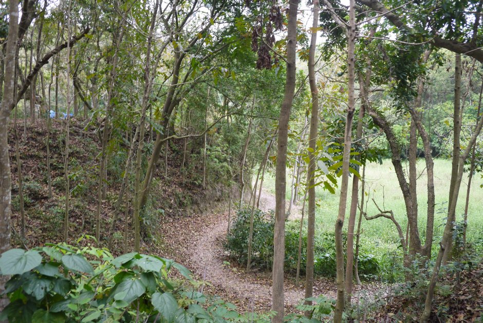 新化植物園 攝影：旅遊王攝影組
