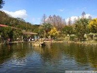 九芎湖金谷農場