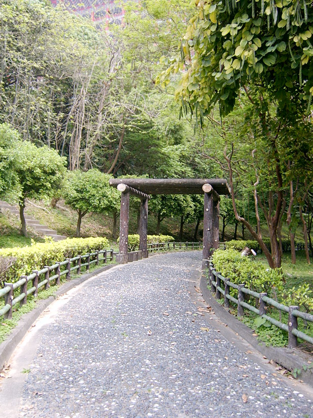 仿如置身山林中01 摄影：曾婉玲