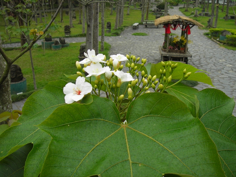 Photo:牛耳藝術渡假村