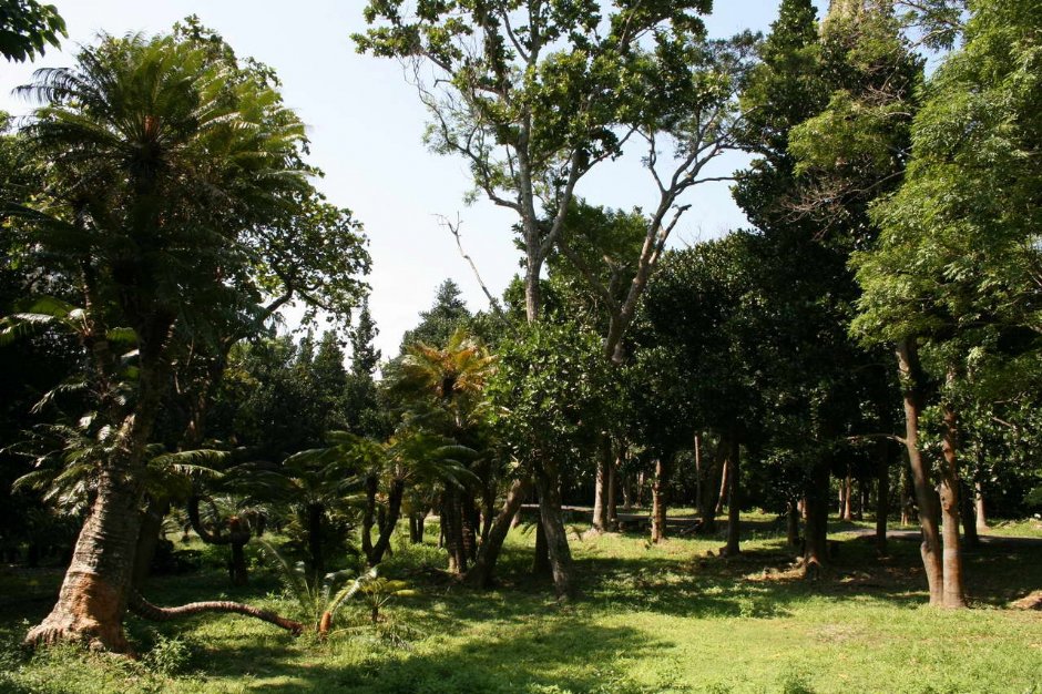 Photo:老山羊部落格