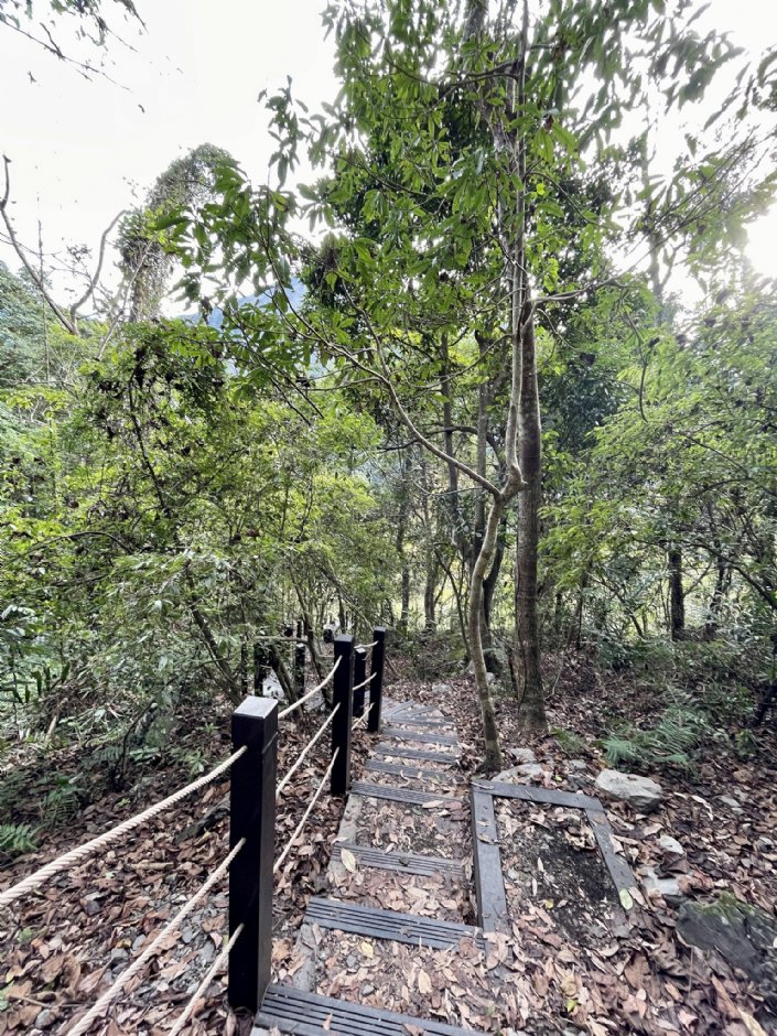 雪山坑環線步道 攝影：Eva隨手拍