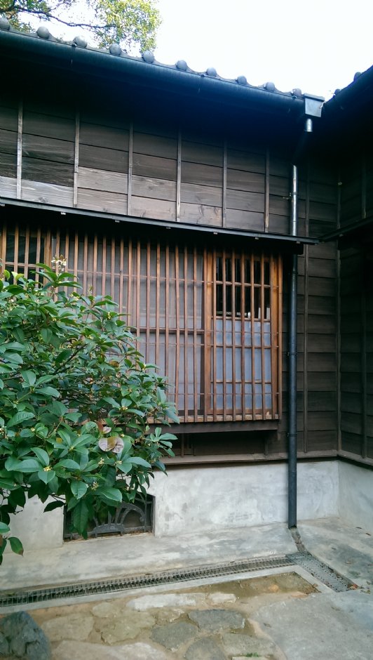 普濟寺 攝影：Eva隨手拍