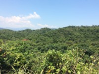 情人湖<br/> 摄影：Eva隨手拍
