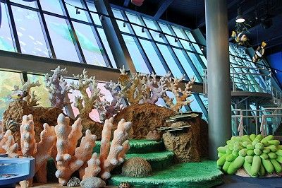 兒童聽 大海探險 / 慶富集團 慶陽海洋企業(股)