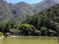 漫遊宜蘭：明池山莊森呼吸、輕鬆賞神木